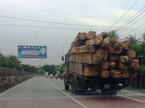 Tiền Giang điều tra và xử lý hàng loạt vụ án tham nhũng - Ảnh 1.