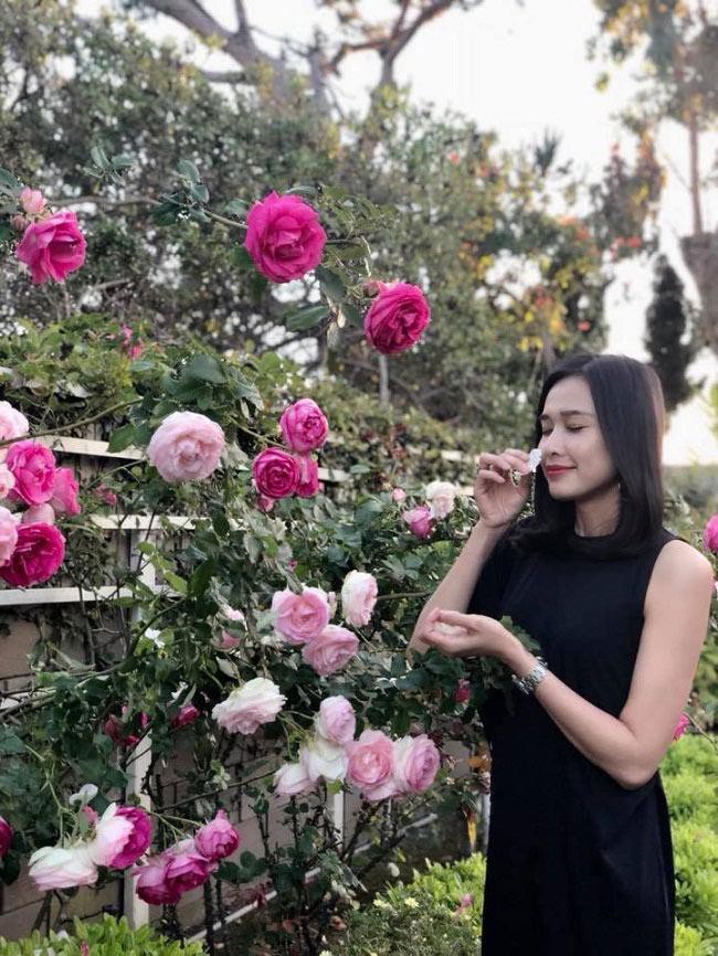 Hoa hậu Dương Mỹ Linh khoe vườn hoa hồng và cây ăn quả ở Mỹ - Ảnh 3.