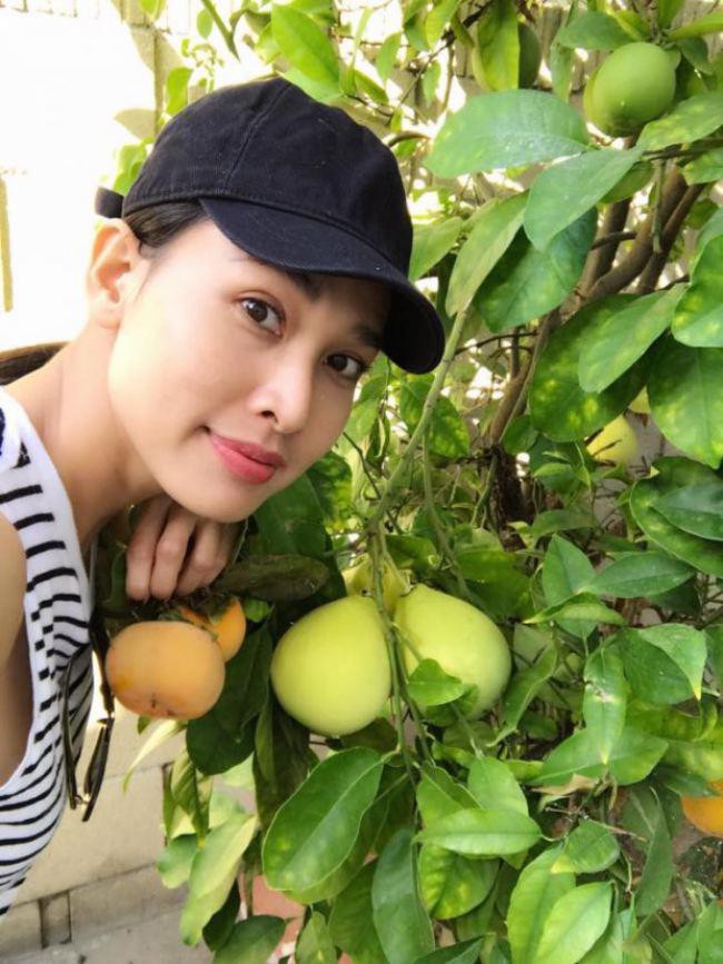Hoa hậu Dương Mỹ Linh khoe vườn hoa hồng và cây ăn quả ở Mỹ - Ảnh 4.