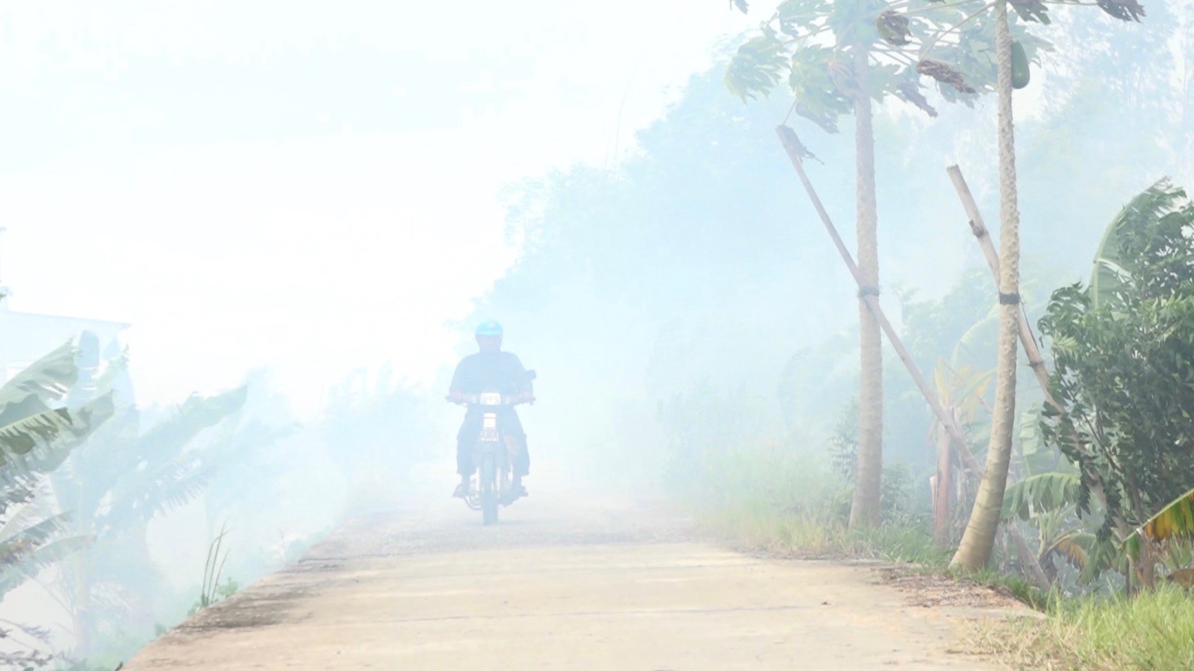 “Ớn lạnh” việc đốt đồng ở miền Tây tiềm ẩn tai nạn giao thông - Ảnh 8.