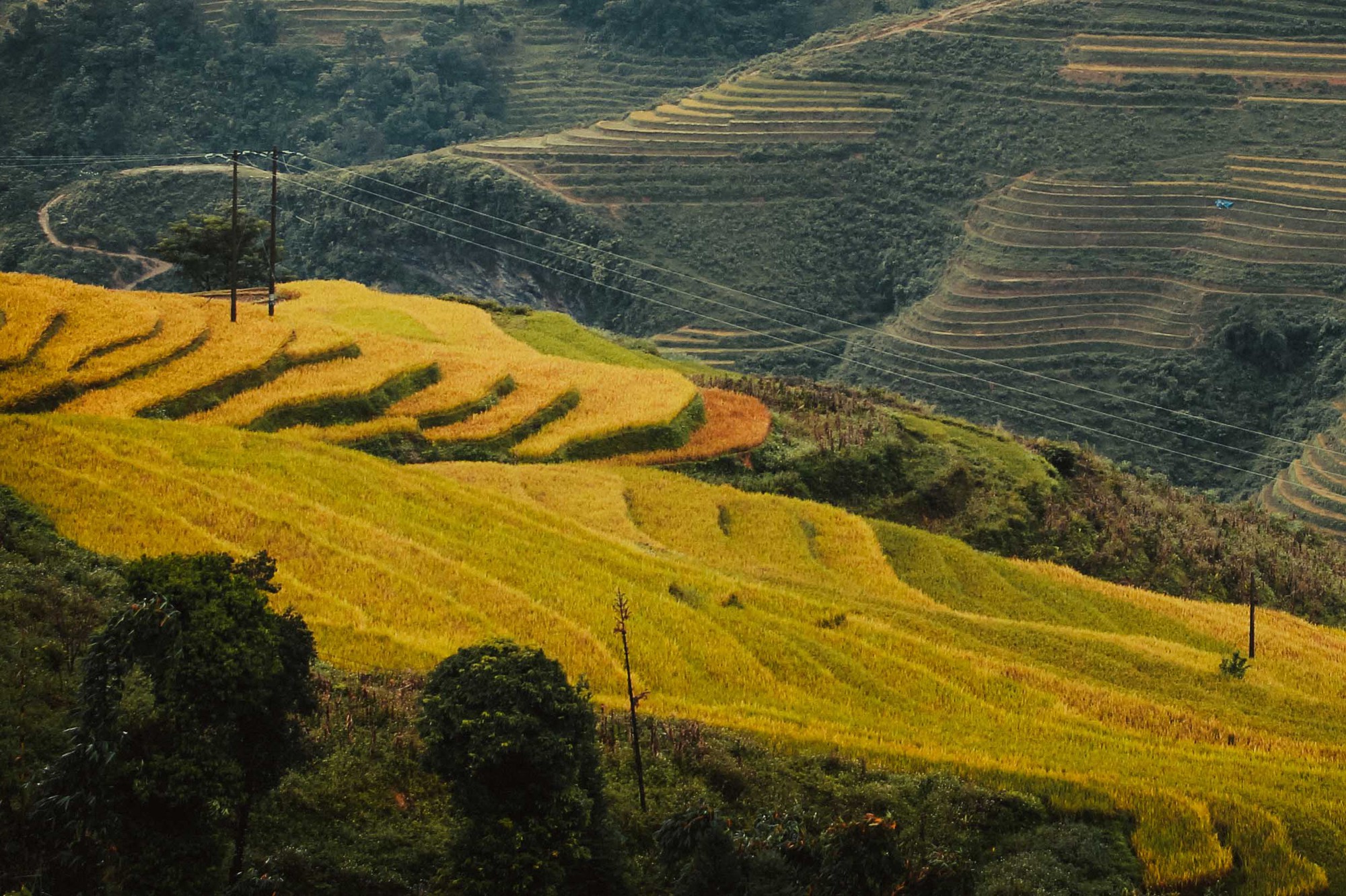 Du lịch ở Hà Giang có gì hấp dẫn? - Ảnh 15.