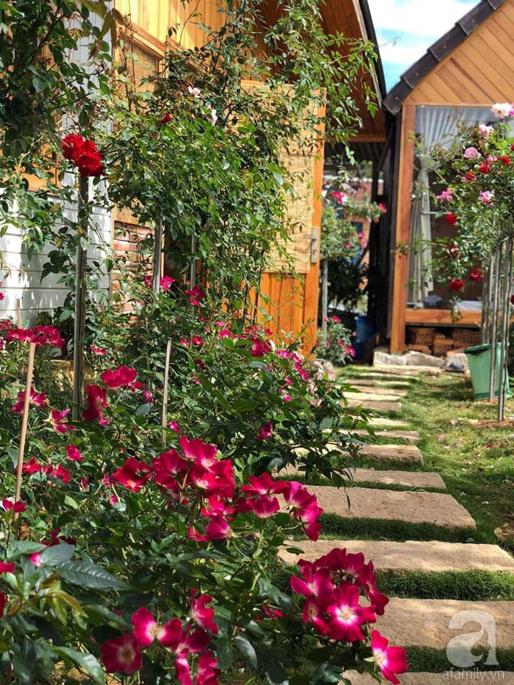 Mê mẩn khu vườn hoa hồng đẹp như mơ ở Đà Lạt - Ảnh 9.