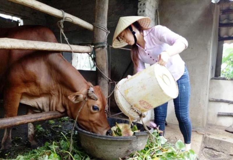 Xã ngưng hoạt động, chợ đóng cửa vì ngập sâu trong biển nước - Ảnh 11.