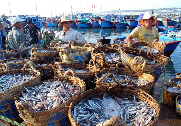 Ngư dân Ninh Thuận với những chuyến biển đầy ắp cá - Ảnh 1.