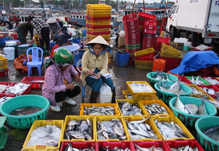 Ngư dân Ninh Thuận với những chuyến biển đầy ắp cá - Ảnh 4.