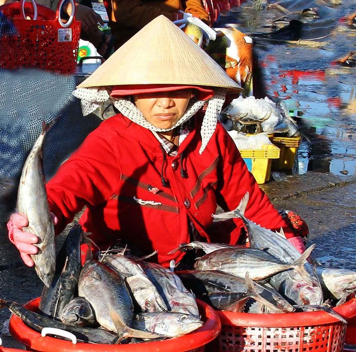 Ngư dân Ninh Thuận với những chuyến biển đầy ắp cá - Ảnh 5.