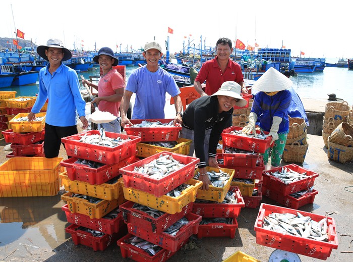 Ngư dân Ninh Thuận với những chuyến biển đầy ắp cá - Ảnh 7.