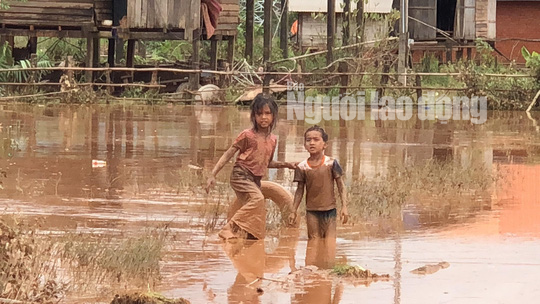 THẢM HOẠ VỠ ĐẬP THUỶ ĐIỆN: Động vật chết khắp nơi, trẻ em lội bùn nhận cứu trợ - Ảnh 3.