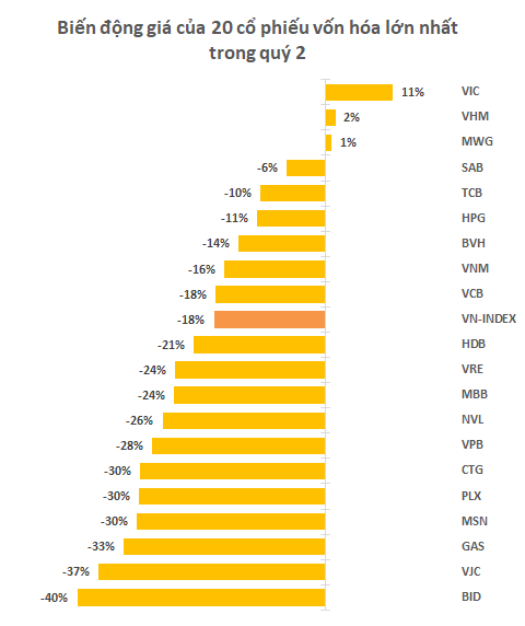 Những tội đồ làm VN-Index mất 214 điểm, giảm sâu nhất thế giới quý 2 - Ảnh 2.