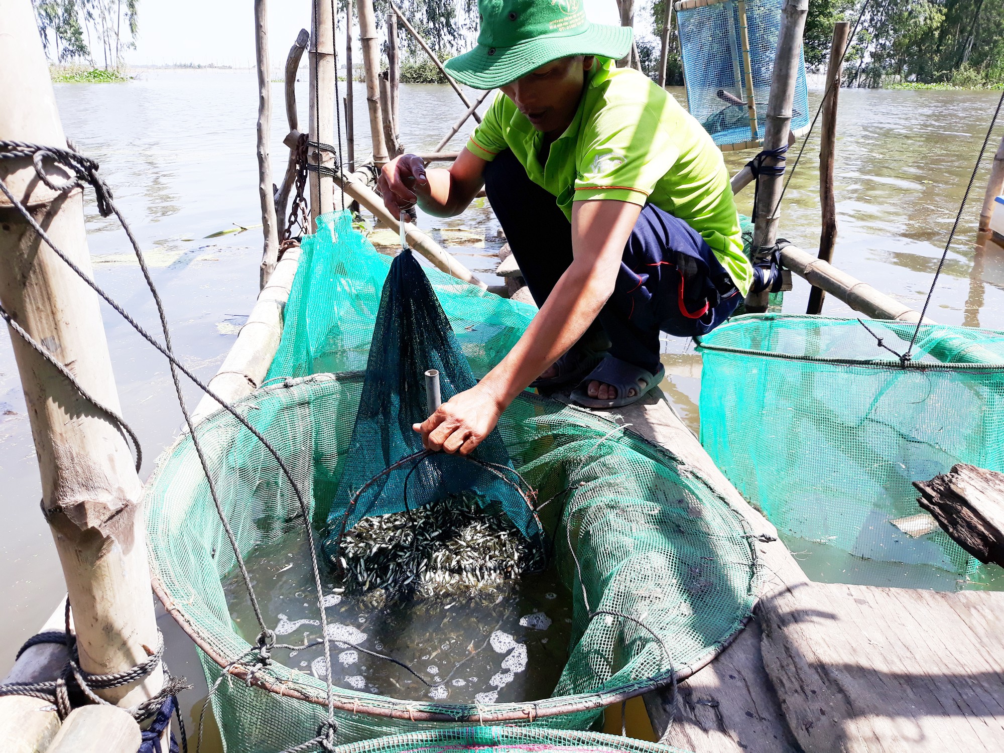 Dân nghèo miền Tây chạy đua với nước lũ - Ảnh 15.