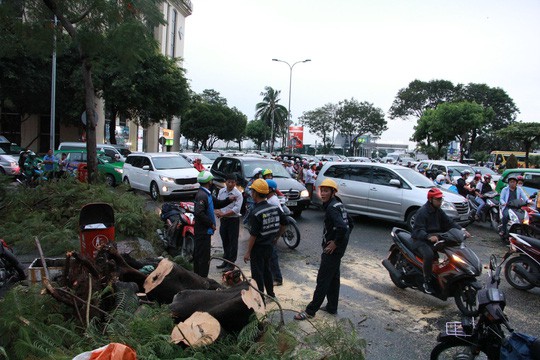 Gió quật ngã cây xanh ở Công trường Mê Linh, đè bị thương 2 người - Ảnh 5.