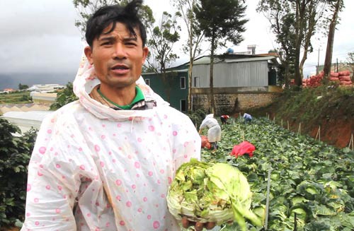 ĐIỀU TRA: Nông sản Trung Quốc nhái - nỗi đau của nông dân Đà Lạt - Ảnh 1.