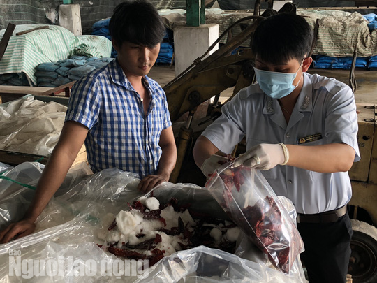 Cận cảnh cơ sở ớt ngâm với muối có lẫn côn trùng ở Sài Gòn - Ảnh 11.
