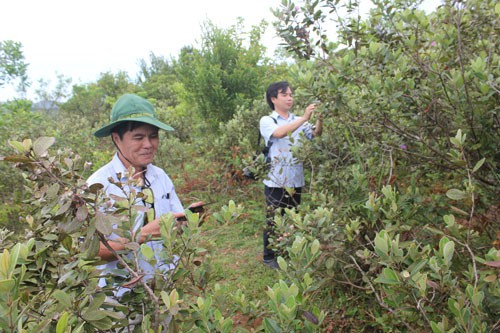 Đánh thức Bùi Hui - Ảnh 1.