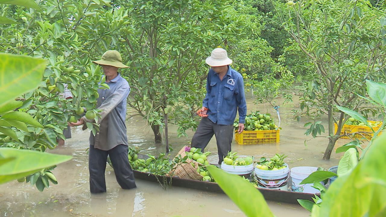 Dân miền Tây khốn đốn vì nước lũ và triều cường lên quá cao - Ảnh 17.