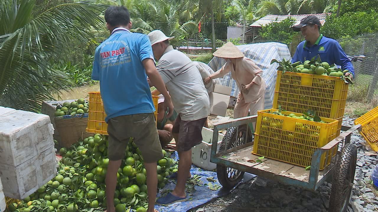 Dân miền Tây khốn đốn vì nước lũ và triều cường lên quá cao - Ảnh 18.