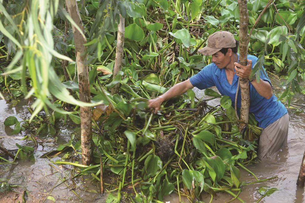 Rầm rập săn lươn, c&aacute; đồng chạy theo con nước - Ảnh 1.