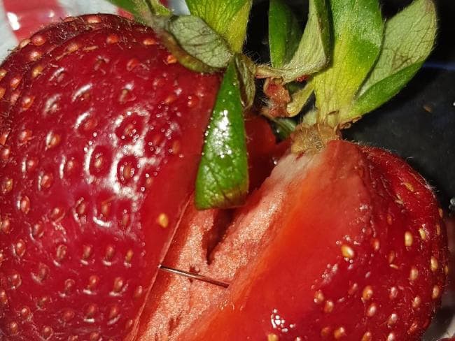 &Uacute;c: Đến lượt xo&agrave;i bị găm kim kh&acirc;u b&ecirc;n trong - Ảnh 1.