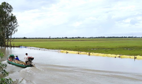 Nông dân ĐBSCL trắng đêm lo vỡ đê - Ảnh 1.