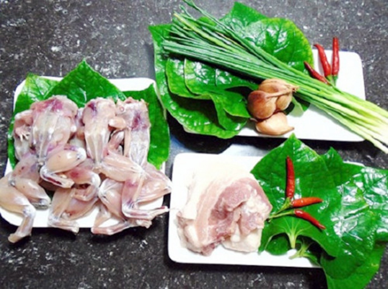 Săn ếch trên rừng, thấy nhiều cũng không dám bắt thêm - Ảnh 2. Săn ếch trên rừng, thấy nhiều cũng không dám bắt thêm - Ảnh 2.