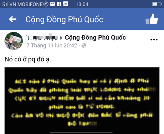 Khẳng định không có thông tin xuất hiện loài mực cực độc ở Phú Quốc - Ảnh 1.