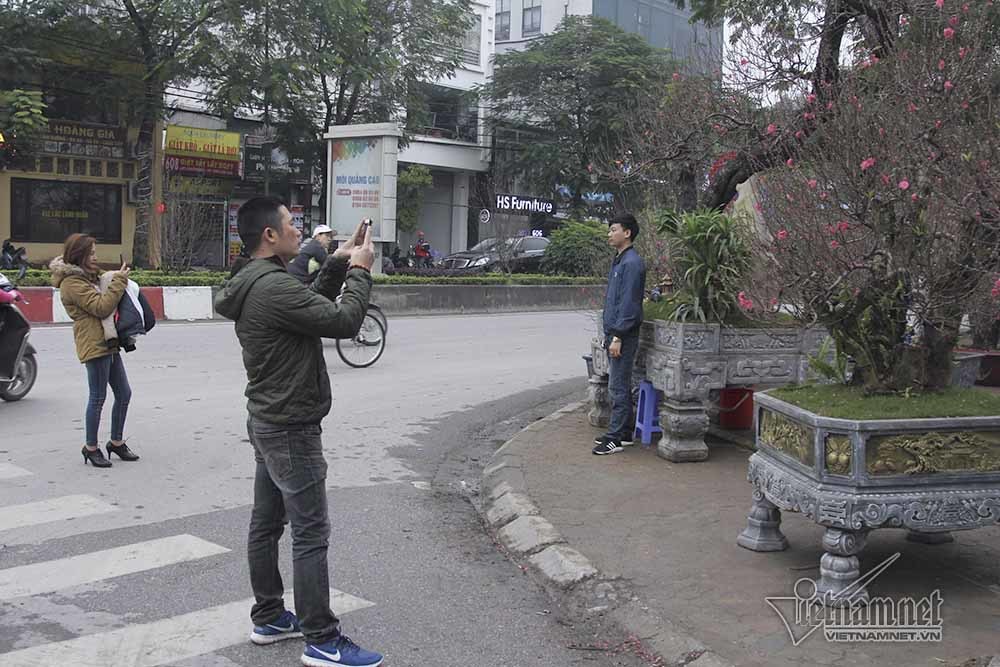 Bất ngờ với cây đào ven đường, gốc mục ruỗng có giá đến 120 triệu đồng - Ảnh 11.