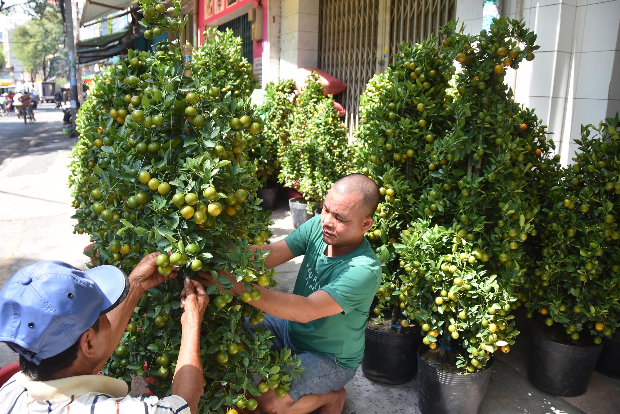 Nôn nao buổi sáng cuối năm ở TP HCM - Ảnh 13.