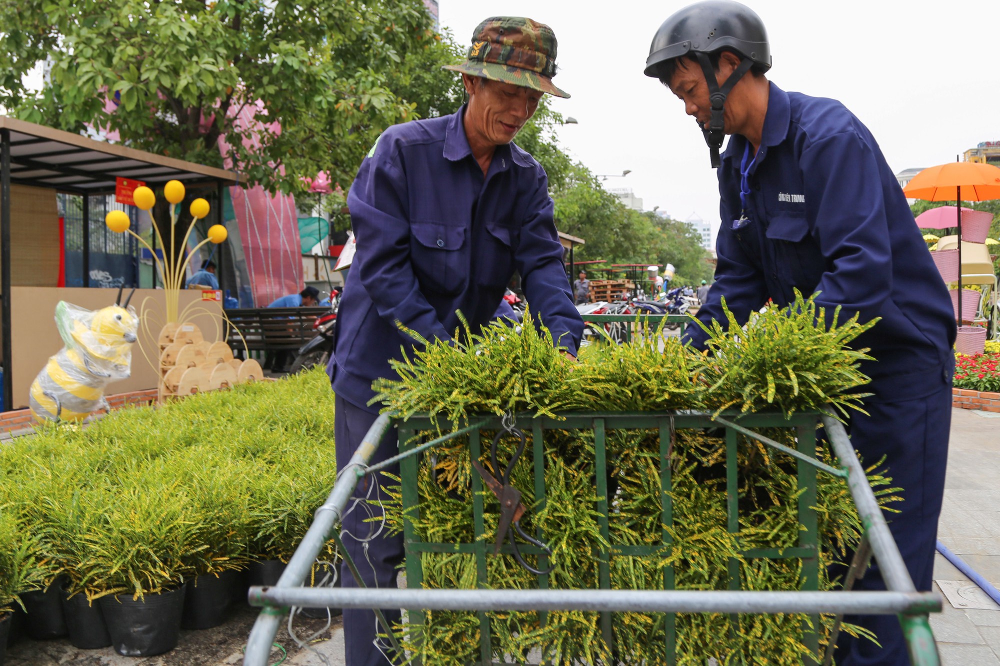 Toàn cảnh đường hoa Nguyễn Huệ trước giờ khai mạc - Ảnh 8.