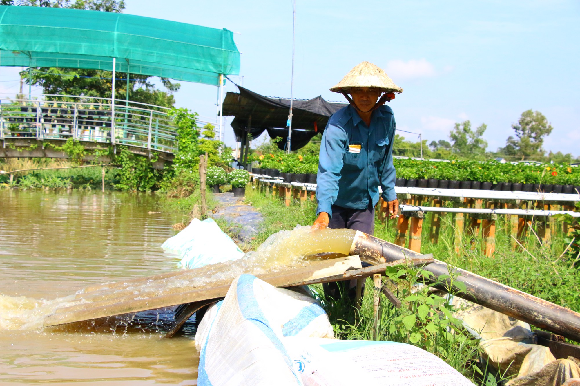 Oằn mình cứu cây ăn trái và hoa kiểng trước triều cường lịch sử - Ảnh 3.