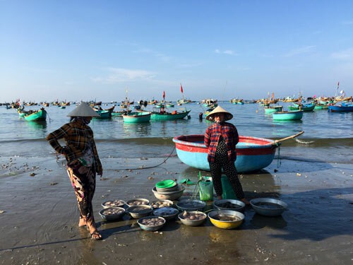 Chợ hải sản tính tiền theo thau ở Bình Thuận - Ảnh 2.