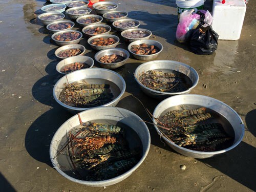 Chợ hải sản tính tiền theo thau ở Bình Thuận - Ảnh 3.