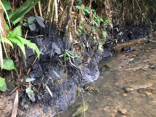 Nước sạch ở Hà Nội nghi nhiễm dầu - Ảnh 1.
