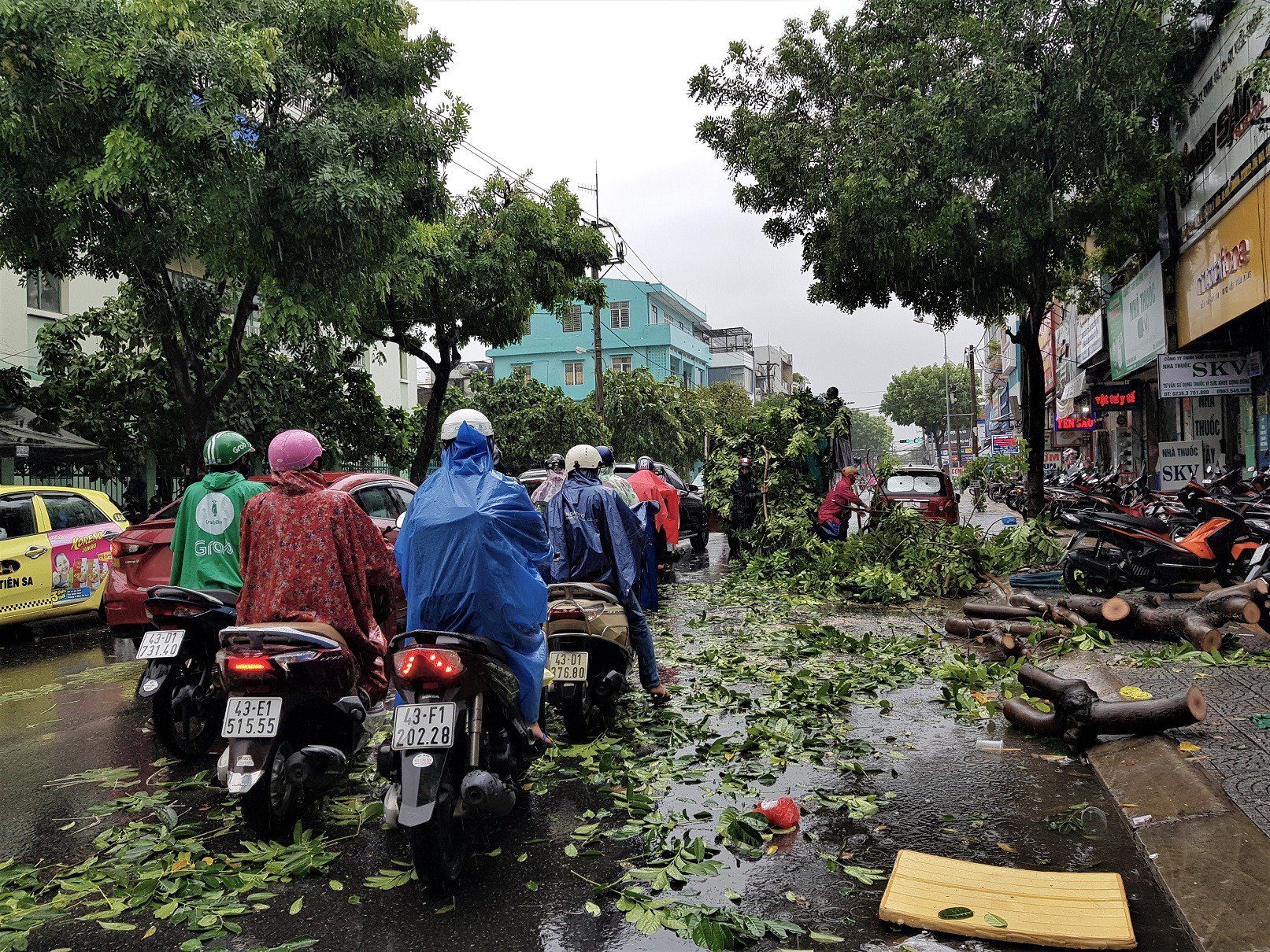 Đà Nẵng: Ảnh hưởng nhẹ của bão, hàng loạt cây xanh đã bật gốc - Ảnh 5.