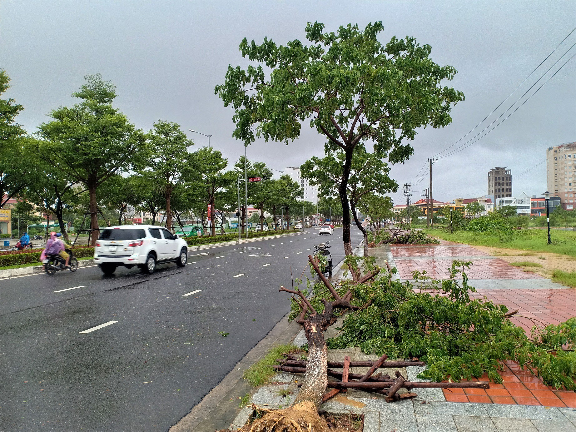 Đà Nẵng: Ảnh hưởng nhẹ của bão, hàng loạt cây xanh đã bật gốc - Ảnh 6.