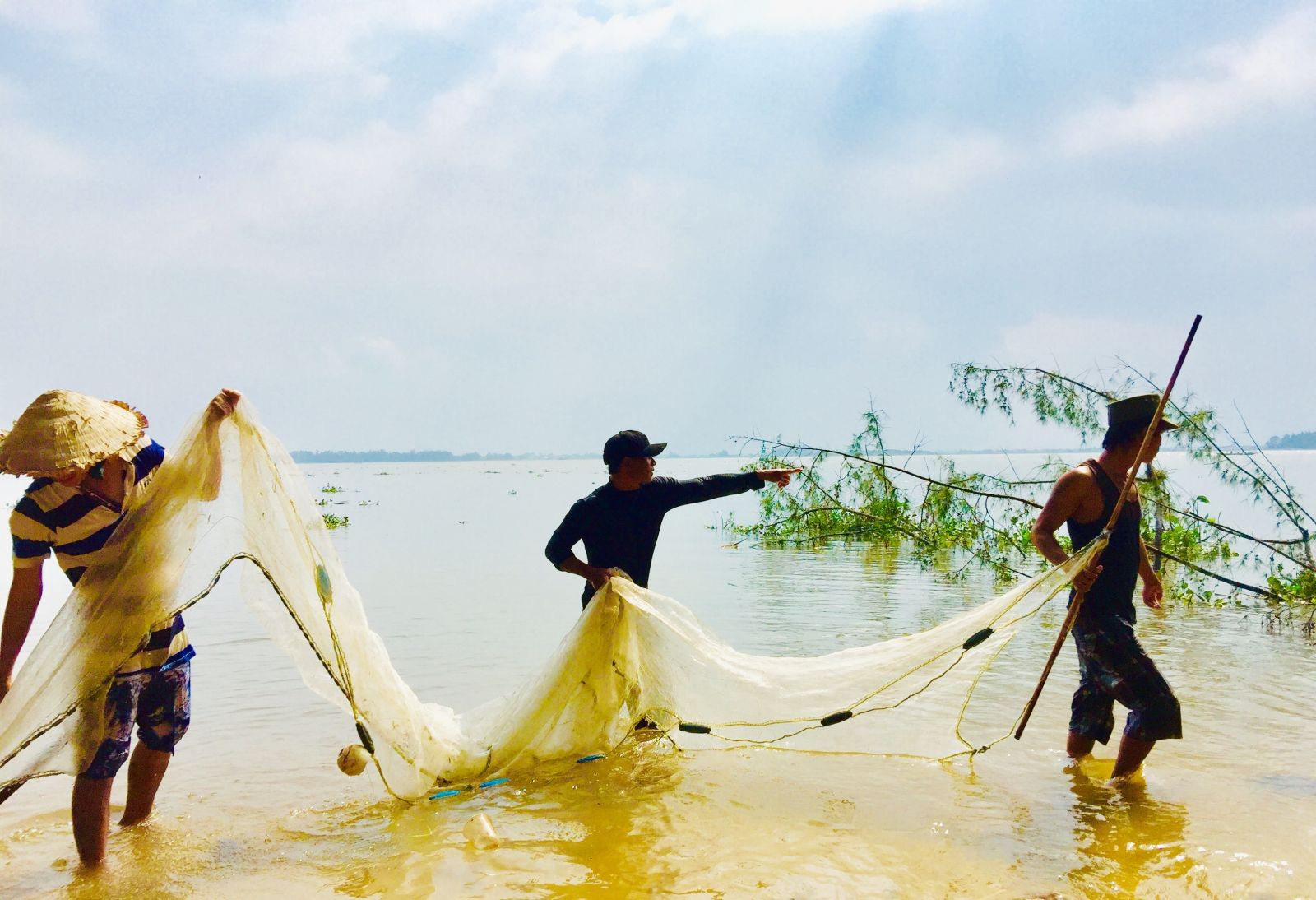 Hàng đàn cá nâu, cá hồng bé đang bơi đầy cửa biển Thuận An - Ảnh 4.