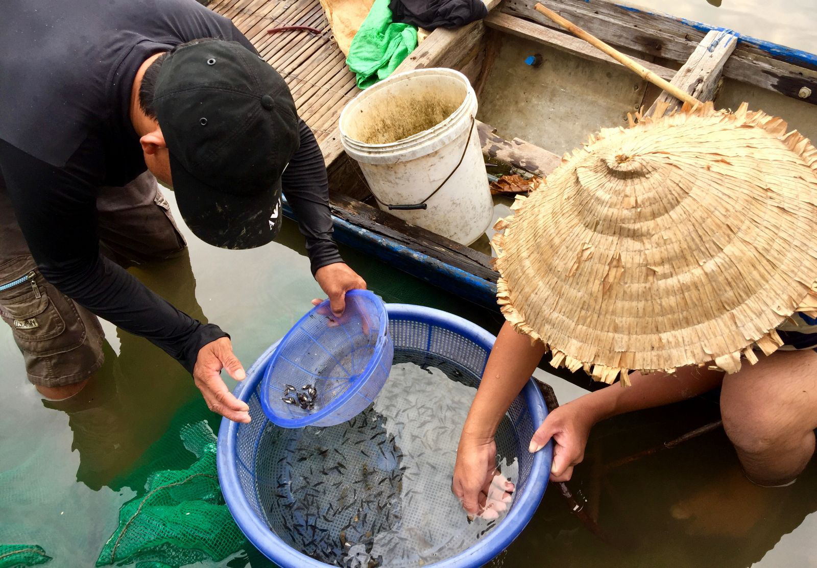 Hàng đàn cá nâu, cá hồng bé đang bơi đầy cửa biển Thuận An - Ảnh 9.