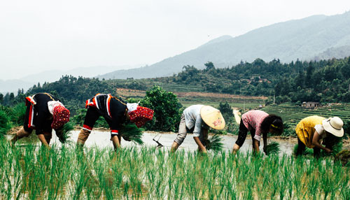 Cuộc thi ảnh Nét đẹp lao động: Lên rừng, xuống biển... - Ảnh 1.