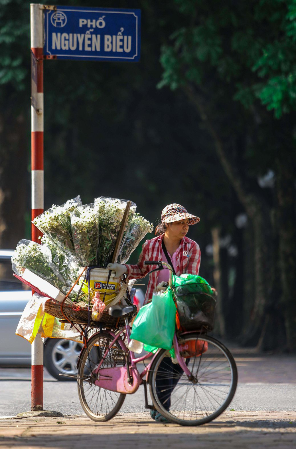 Xốn xang cúc họa mi xuống phố - Ảnh 10.