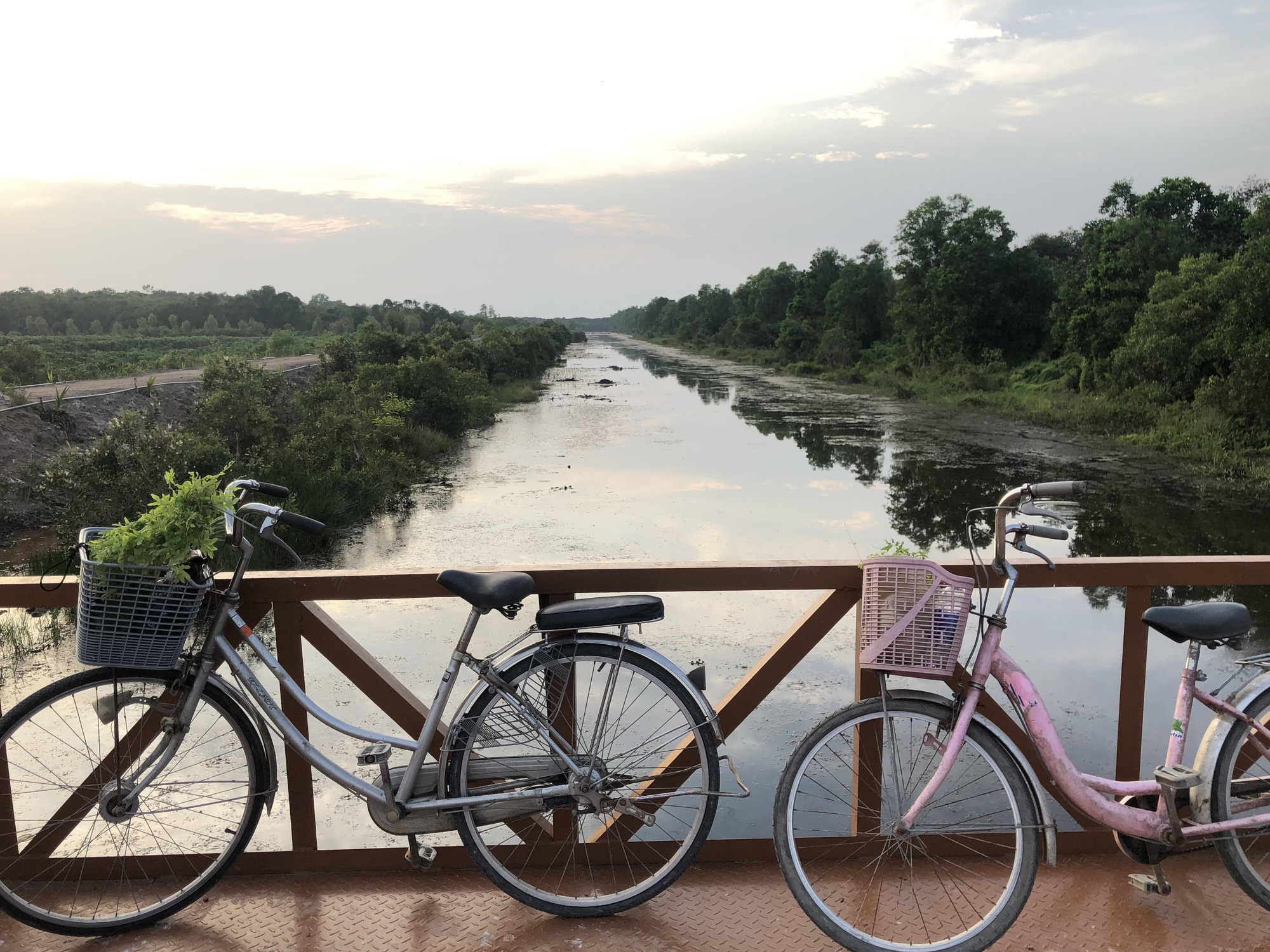 Xuyên rừng đêm ngắm bông súng nở - Ảnh 8.