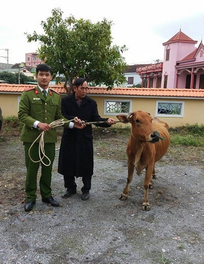 Bắt quả tang cặp nam nữ chuyên đi trộm trâu, bò ở Quảng Bình - Ảnh 3.