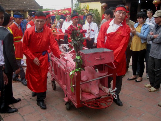 Nên dẹp lễ hội bạo lực!: Tạo ra được thì bỏ được - Ảnh 1.