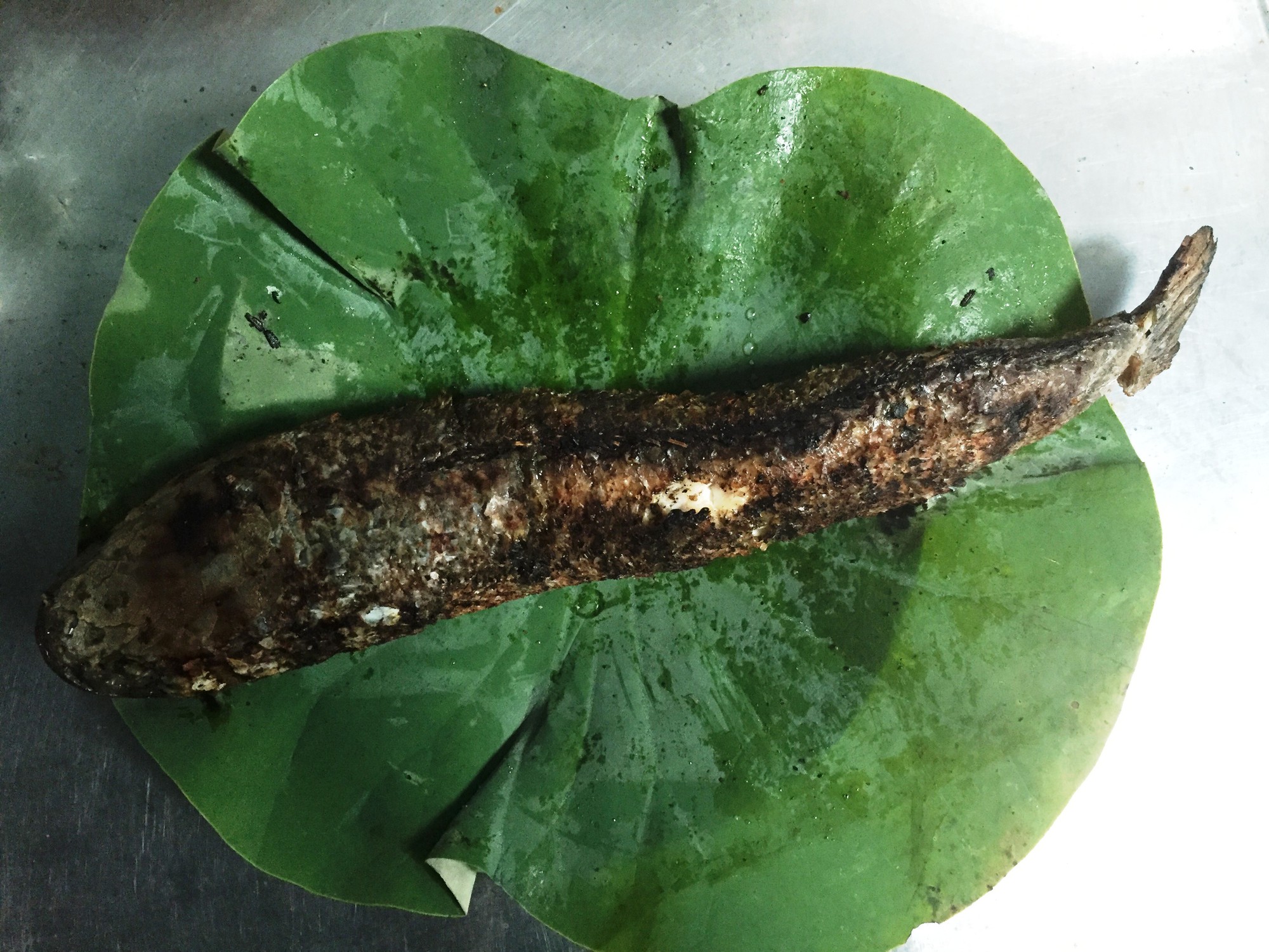 Cá lóc nướng vía Thần Tài ở Đồng Tháp được gói bằng chiếc lá “đặc biệt” - Ảnh 18.