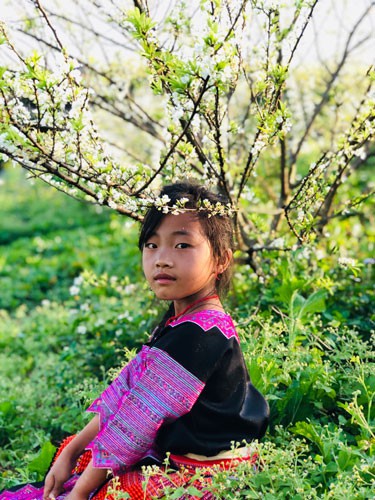 V&ugrave;ng đất của giấc mơ hoa - Ảnh 2.