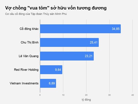 Các cặp vợ chồng ngàn tỉ Việt chia tỉ lệ sở hữu thế nào? - Ảnh 4.