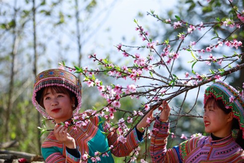 Lạc lối giữa rừng đào bung nở căng tràn nhựa sống ở Sa Pa - Ảnh 5.