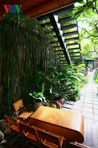 Quán cà phê hút khách với cây xanh và hồ cá - Ảnh 10.