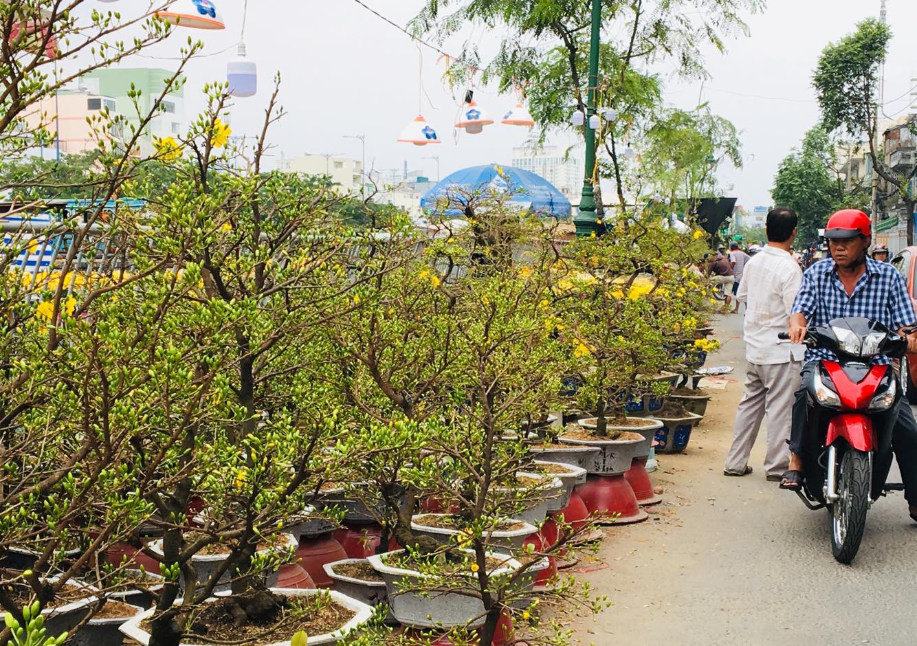 Nghe những hoài niệm trên Bến Bình Đông - Ảnh 6.