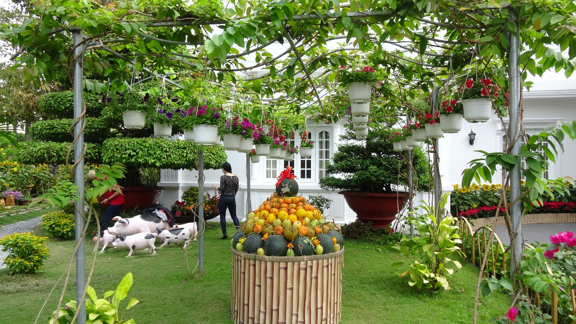 Trụ sở UBND tỉnh Đồng Tháp thân thiện đón khách du Xuân - Ảnh 12.