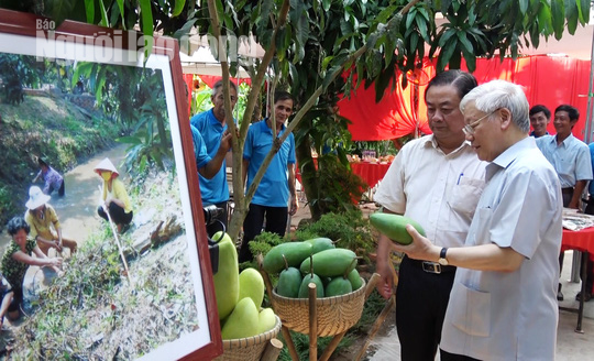 Xuân về trên các Hội quán nông dân ở Đồng Tháp - Ảnh 1.