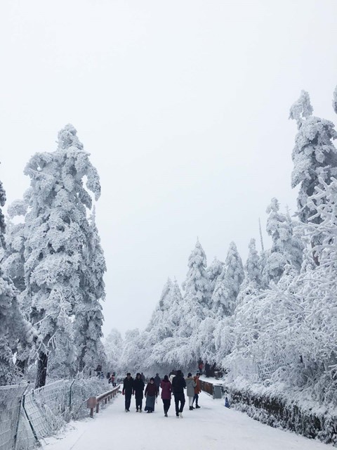 Núi Nga Mi ngập tuyết trắng - điểm du lịch hút khách ở Trung Quốc - Ảnh 5.